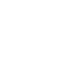 Insecto